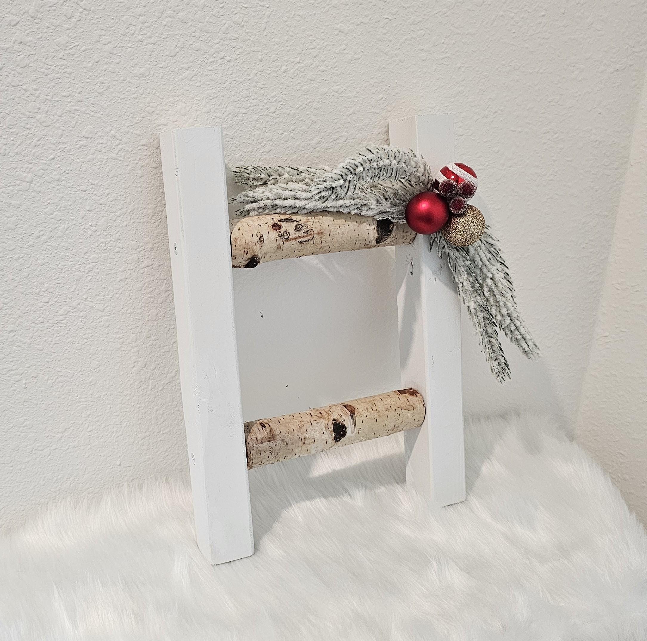 Handcrafted Mini Birch Ladder