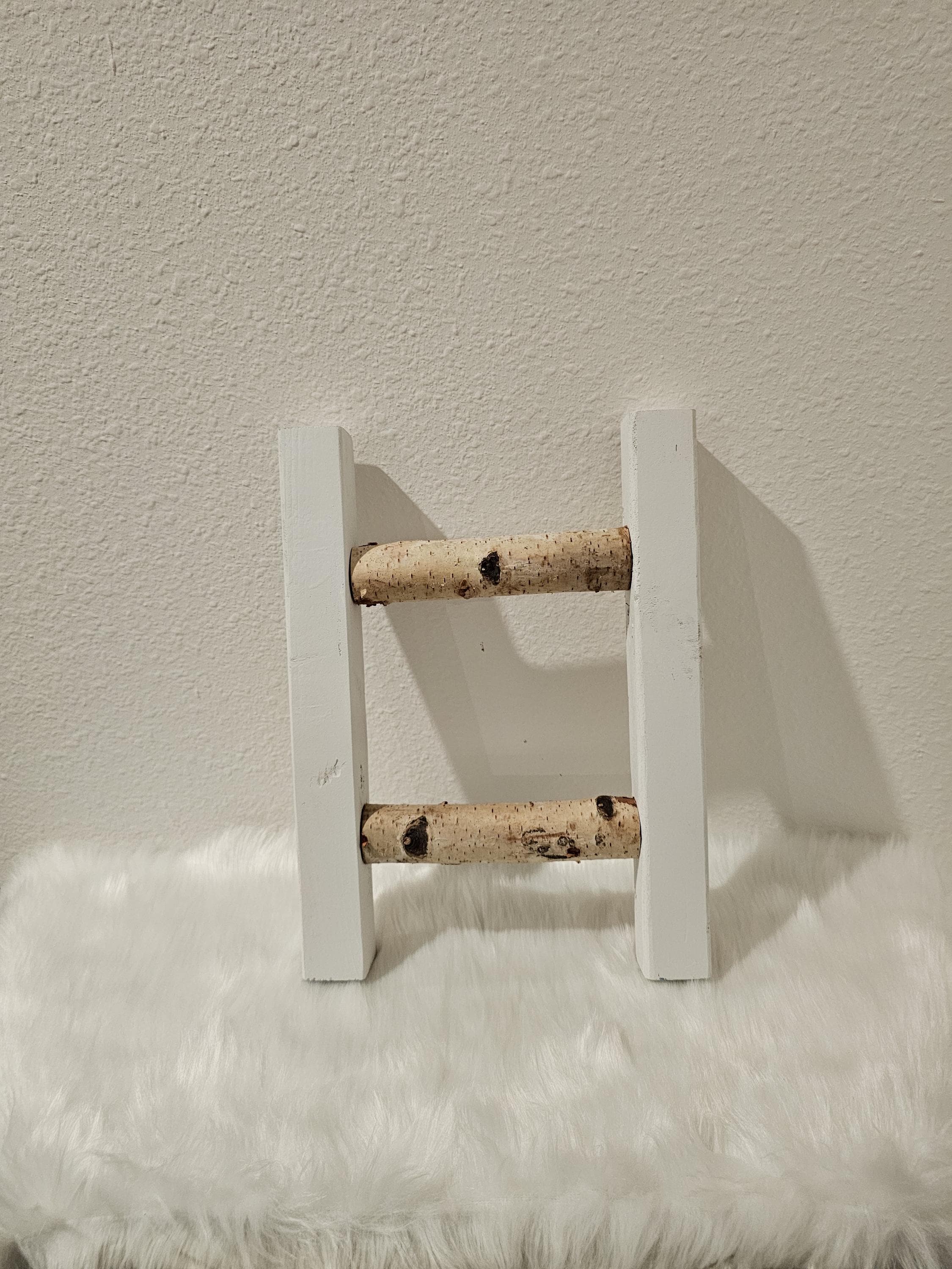 Handcrafted Mini Birch Ladder