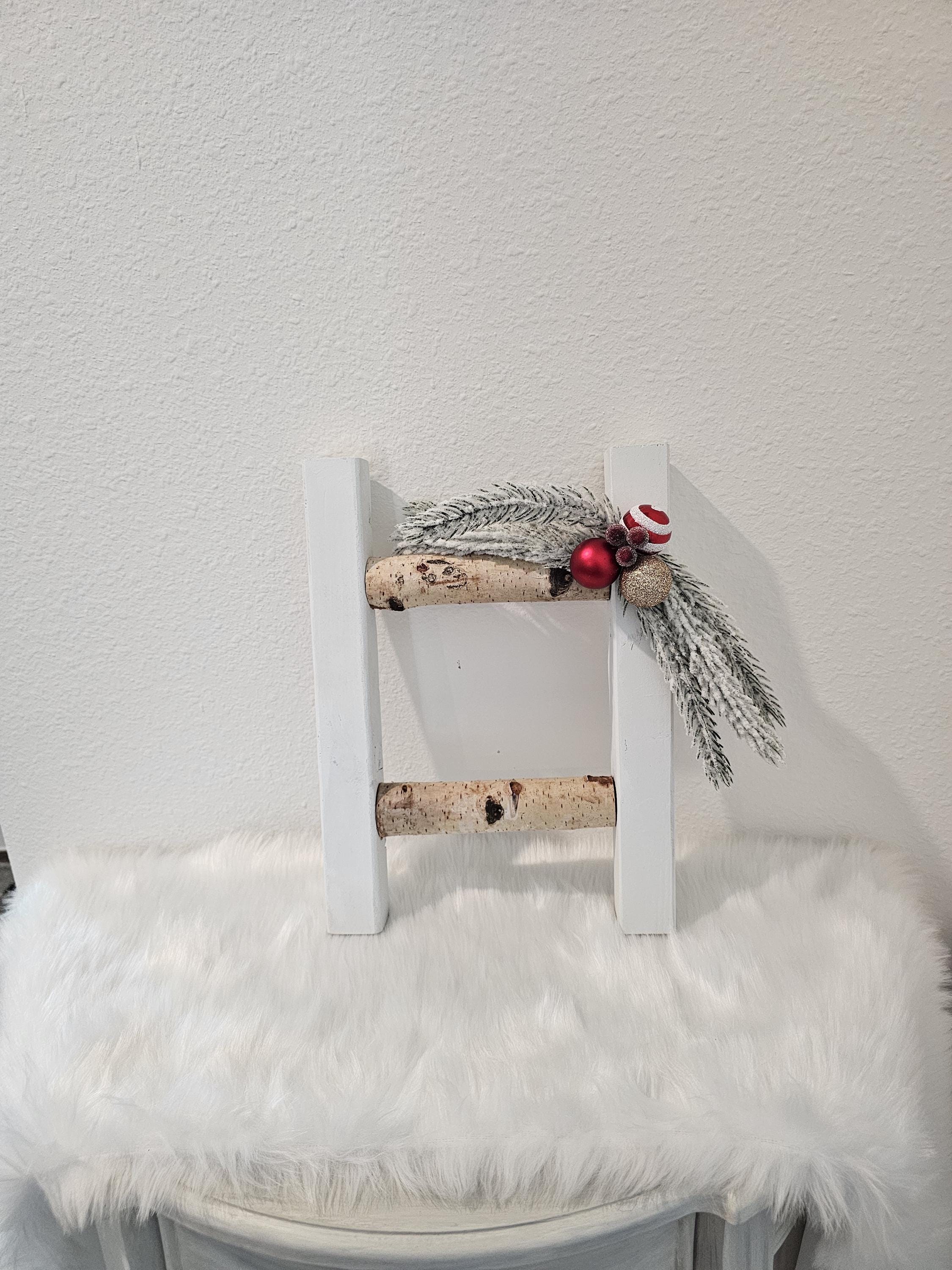 Handcrafted Mini Birch Ladder