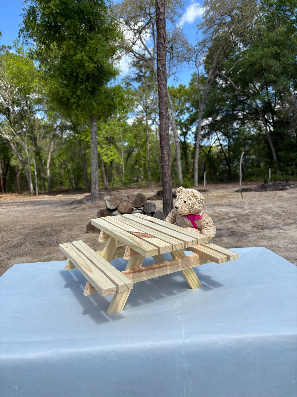 Miniature Picnic Table | Squirrel Feeder Table | Tiny Wooden Picnic Bench | Outdoor Wildlife / Animal Feeder | Display Riser