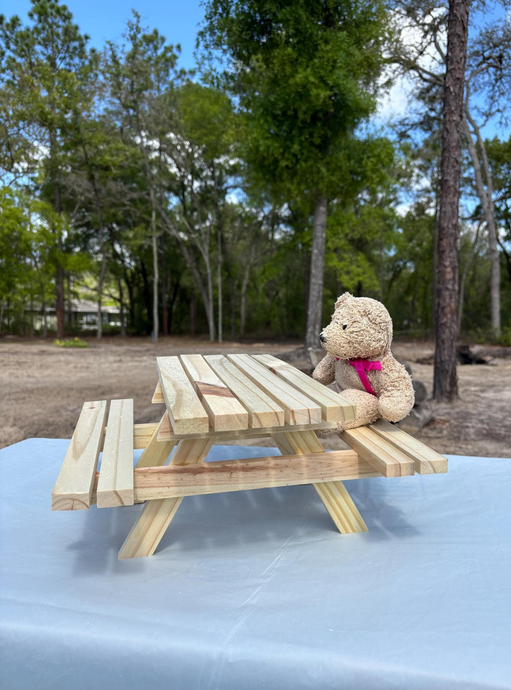 Miniature Picnic Table | Squirrel Feeder Table | Tiny Wooden Picnic Bench | Outdoor Wildlife / Animal Feeder | Display Riser