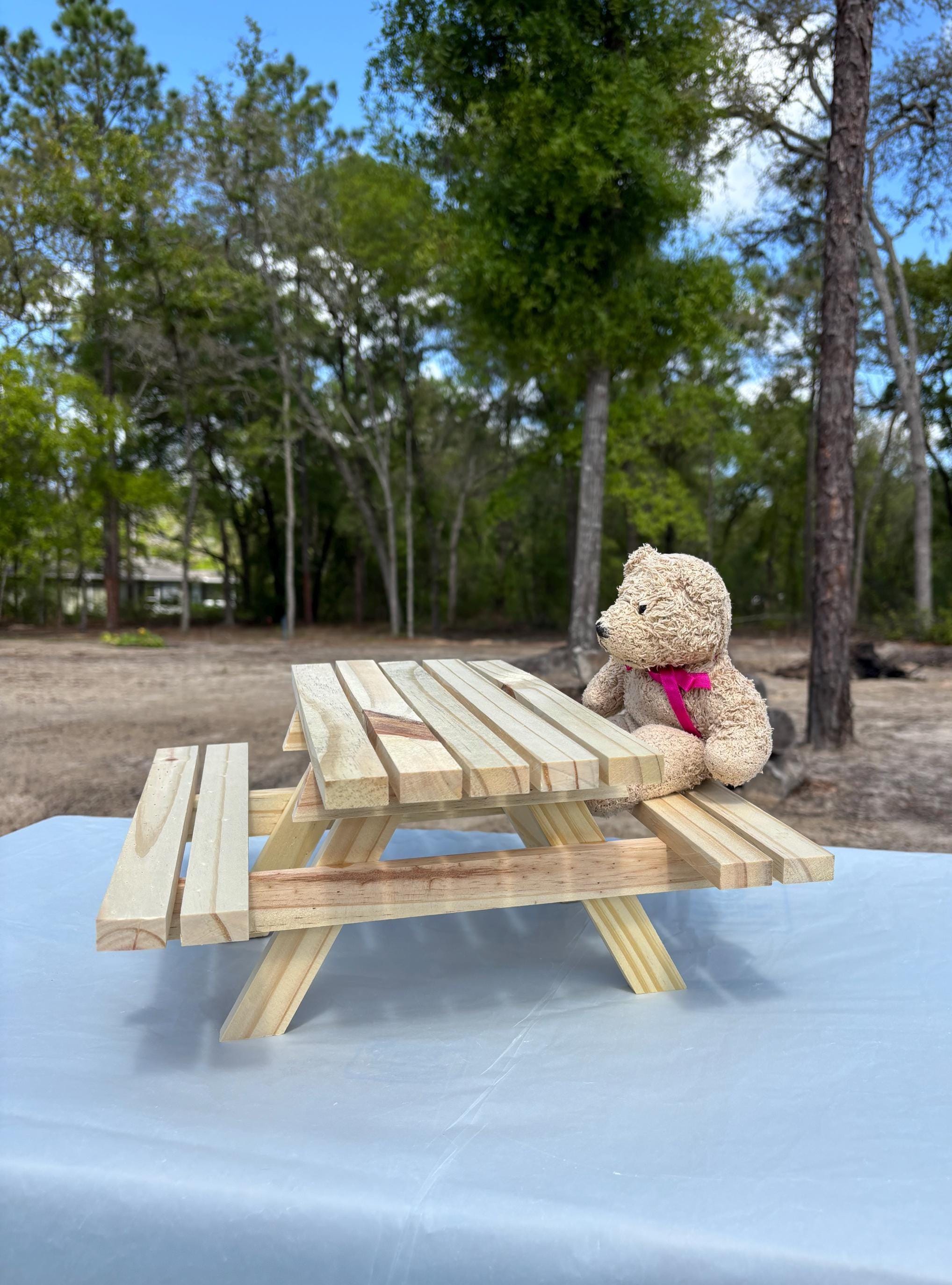 Miniature Picnic Table | Squirrel Feeder Table | Tiny Wooden Picnic Bench | Outdoor Wildlife / Animal Feeder | Display Riser