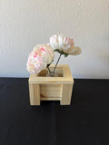 Tabletop Planter | Desktop Planter Decoration/Caddy